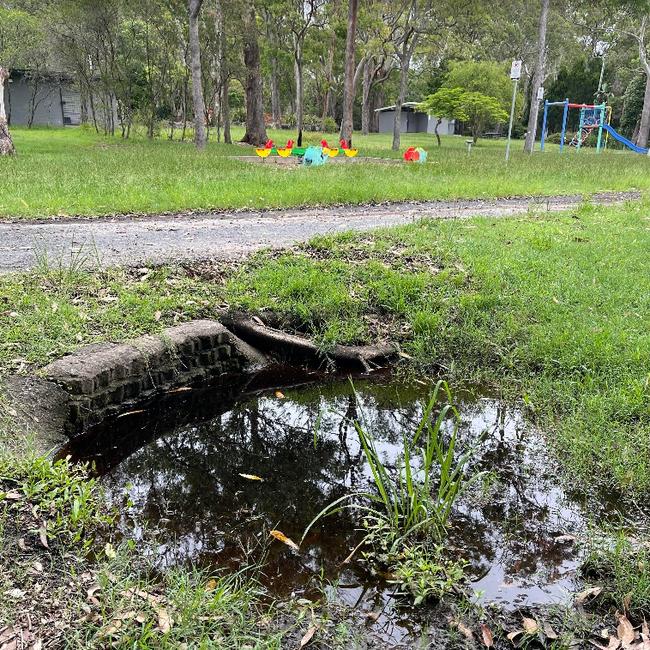 The pond where a dog was found dead at Musgrave Park on the Gold Coast. A playground for children is nearby.