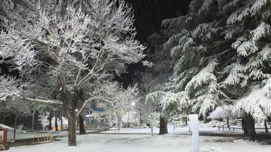 Snow on the Granite Belt in 2005. Picture: Supplied