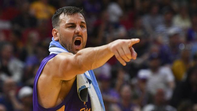 Andrew Bogut will lock horns with Angus Brandt and the Wildcats in Perth. Picture: AAP