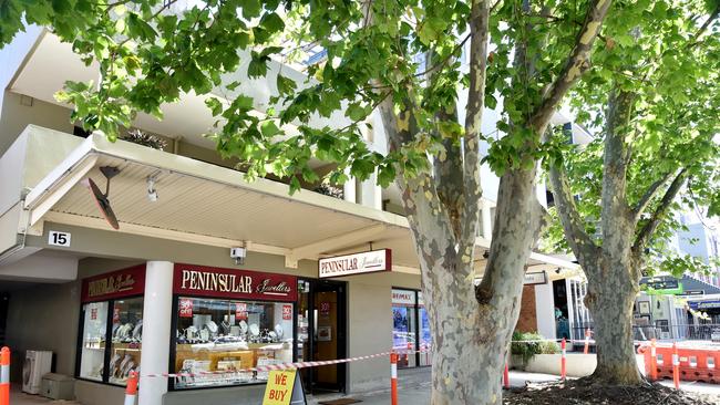 Two london plane trees. Picture: AAP/Troy Snook