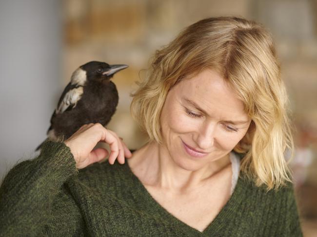 Naomi Watts on the set of Penguin Bloom.