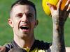 AFL round 11 expert tips