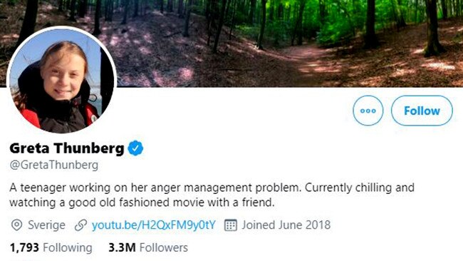 Greta Thunberg's new Twitter bio.