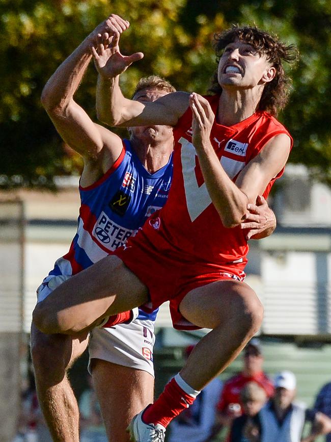 Jacob Bauer in action for North Adelaide. Picture: Brenton Edwards