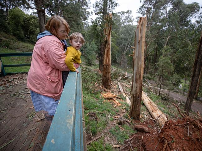 Roxy Horn looks over a fallen tree out the front of her Kalorama House. Picture: Jason Edwards.