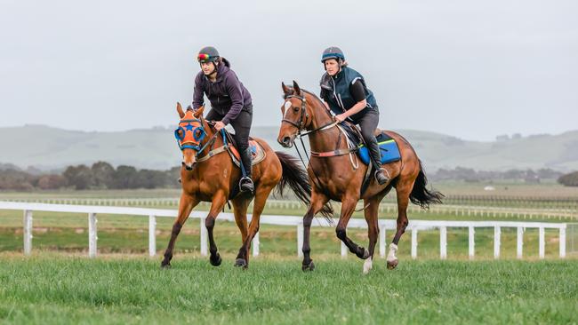 Training on a racetrack at Karasi Park.