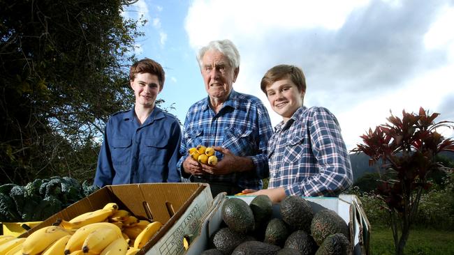 The Freeman banana farm in Currumbin Valley has been running for nearly 100 years. The family alson run the Freeman's Fruit Stall on Tomewin Mountain. 89 year old Bill Freeman with his grandsons Charles Freeman (16) and George Freeman (13). Picture by Scott Fletcher