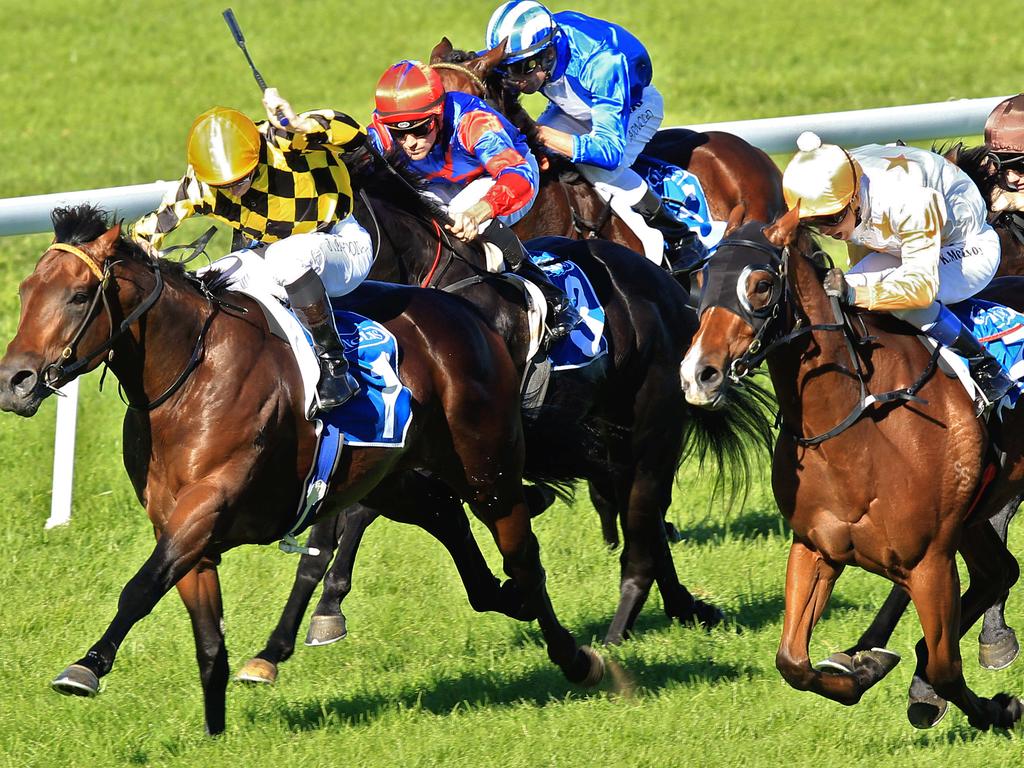 Best bets, tips Canterbury races: Raceday focus with Ray Thomas | Daily ...