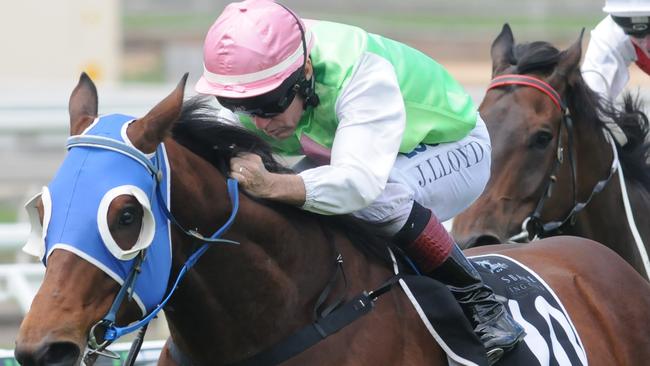 Monsieur Gustave winning at Eagle Farm. Picture: Natasha Wood, Trackside Photography.