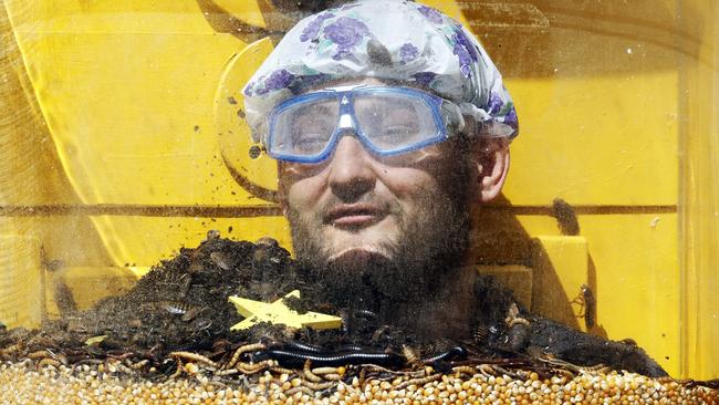 Brendan Fevola earns his gold stars as millipedes and cockroaches swirl around his face. Picture: Nigel Wright/Ten