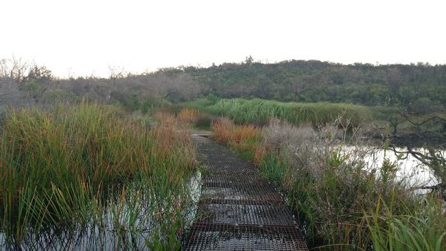 The raised walkway above the Hanging Swamp on Sydney's North Head. Picture: Supplied