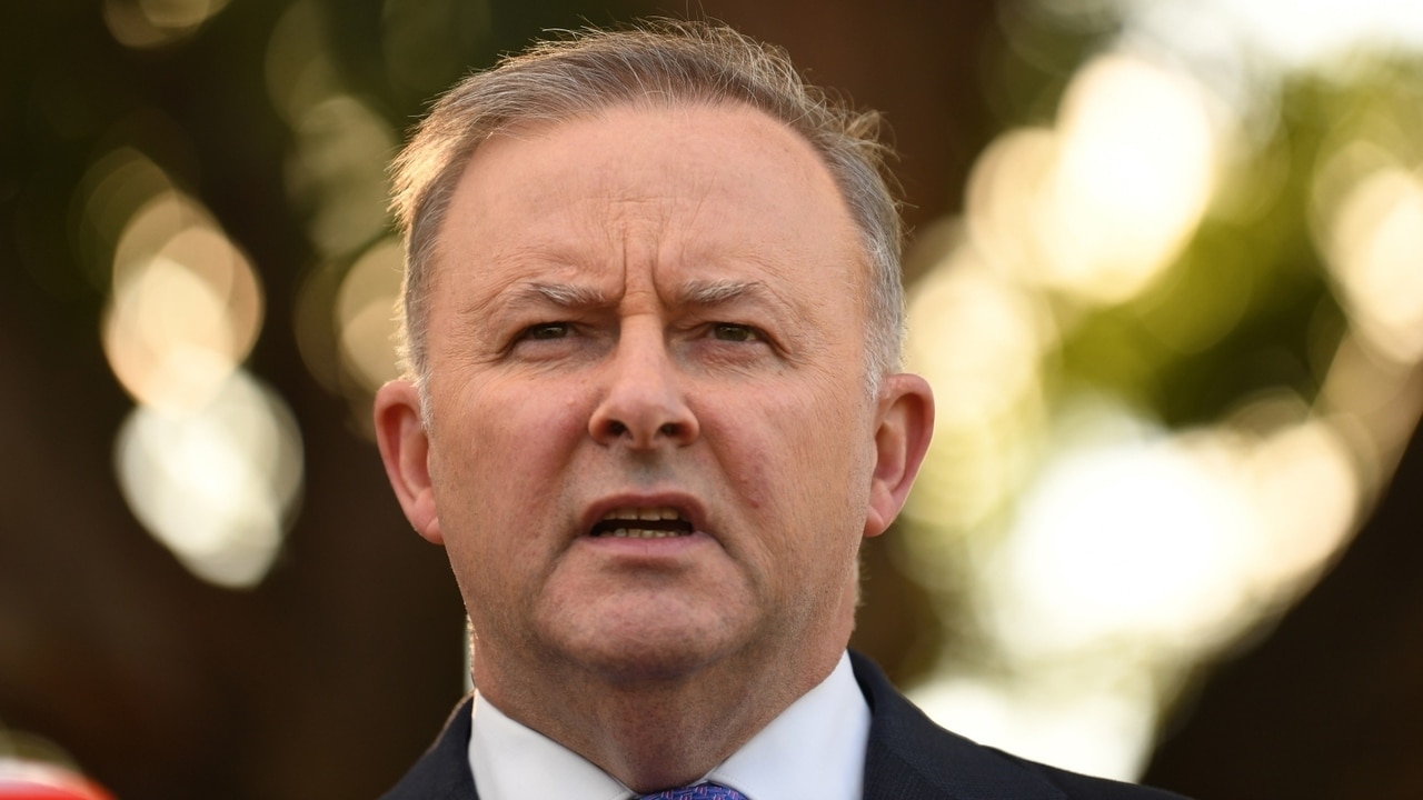 ‘Completely unacceptable’: Albanese breaks silence on text message ...