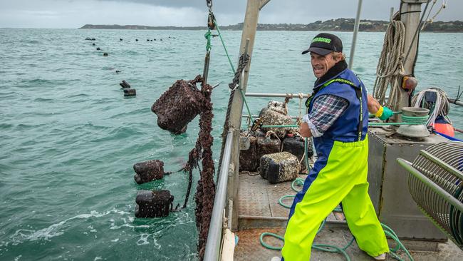 Mussel farming is weather dependent. Picture: Jason Edwards.