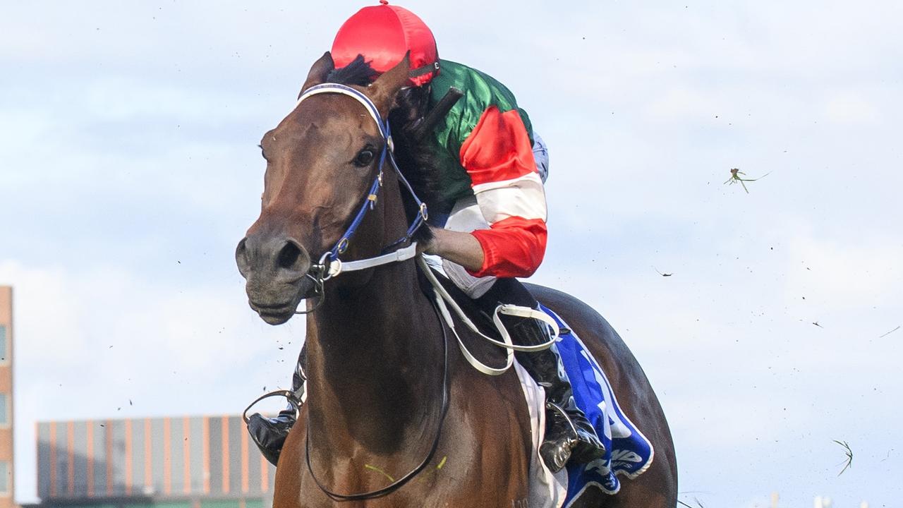 Amelia's Jewel continued her Spring Carnival preparations with an impressive barrier trial victory at Hawkesbury on Monday. Picture: Vince Caligiuri / Getty Images