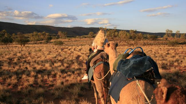 Marcus Williams, the owner-operator of Pyndan Camel Tracks, said the pandemic had hurt him financially but he was happy to wait until the NT Government believed it safe to open the borders.