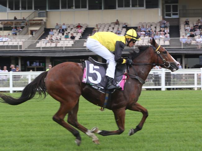 Second trial run of the day and the first at Eagle Farm since September last year. Pic Jono Searle.