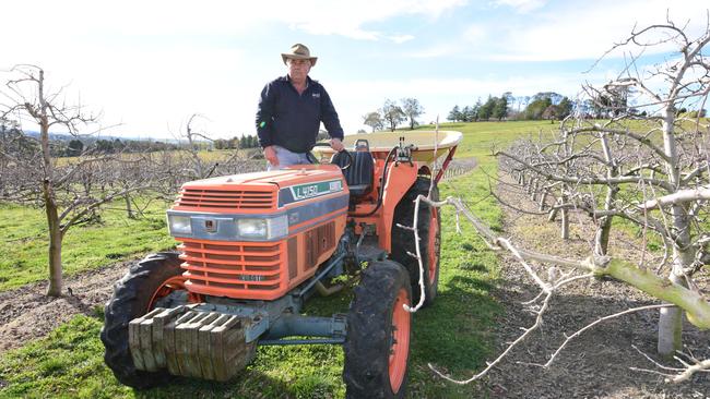 Guy Gaeta at his Orchard "Mirridong" near Orange growing Fuji apples.