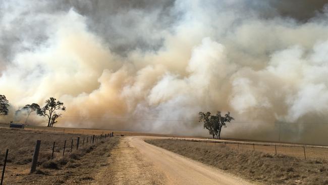 A bushfire burning near the township of Tenterfield in northern NSW.