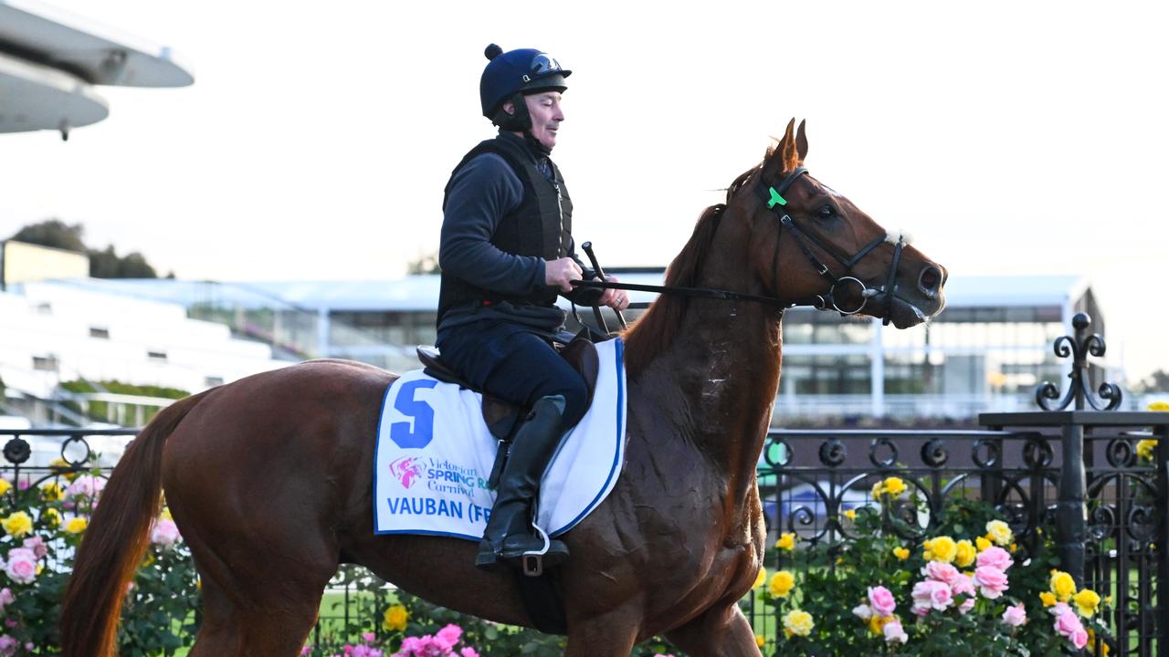 Melbourne Cup barrier draw results: Favourites handed huge boost