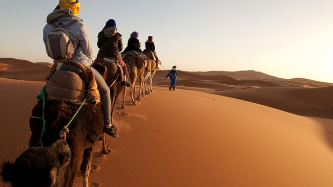 Glamping in Morocco: a guide leads camels with tourists riding into the setting sun in the Sahara desert. Picture: iStock