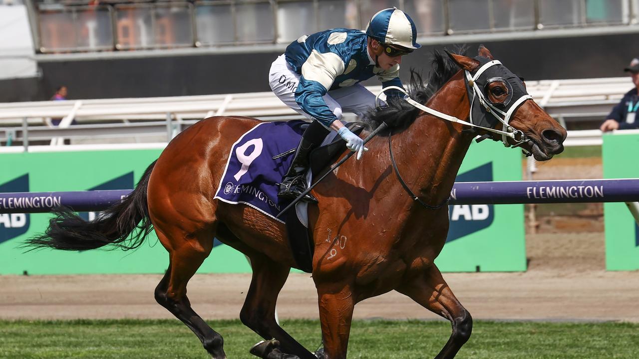 Muramasa and jockey Daniel Moor will again combine in Wednesday’s Group 3 Geelong Cup. Picture: Michael Klein