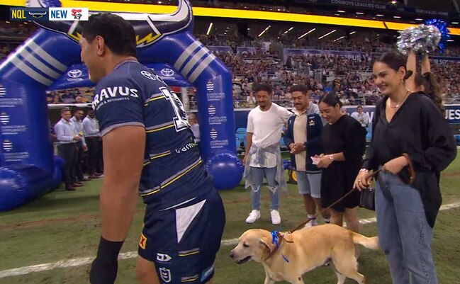 Taumalolo's pooch has stolen the show.