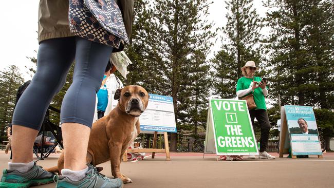 Voting day at the council elections in December 2021. At the next election on September 14, there will be no Liberal candidates, at this stage, on the northern beaches. Picture: Julian Andrews