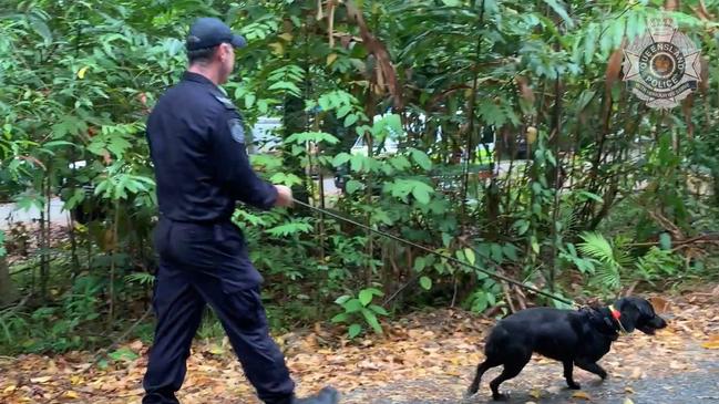 A human remains detection dog was also used during the search. Picture: Queensland Police Service