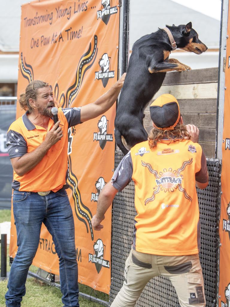 Farmer Dave watches a kelpie scale the K9 Super Wall on day 3 of the Toowoomba Royal Show. Sunday, March 27, 2022. Picture: Nev Madsen.