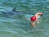 Shock as enraged dolphin breaks man’s ribs