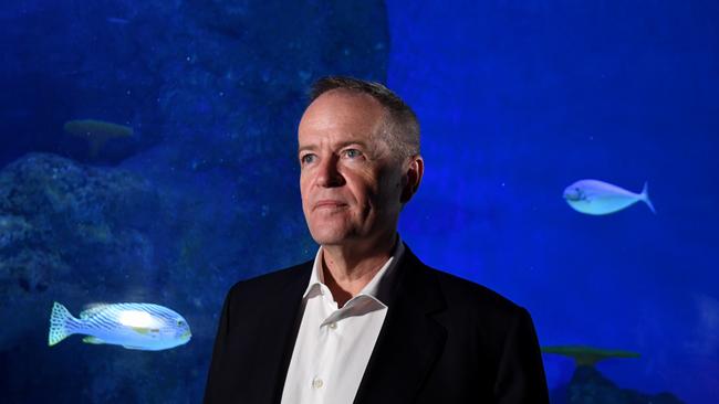 Australian Opposition Leader Bill Shorten is seen during a tour of Cairns Aquarium. PICTURE: AAP IMAGE/LUKAS KOCH