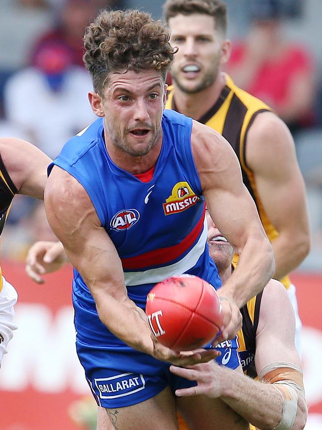 Bulldog Tom Liberatore. Picture: Michael Klein