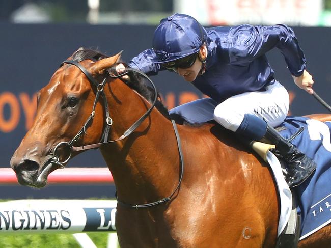 SYDNEY, AUSTRALIA - MARCH 04: Chad Schofield riding Learning To Fly wins Race 3 Yarraman Park Reisling Stakes during Sydney Racing at Royal Randwick Racecourse on March 04, 2023 in Sydney, Australia. (Photo by Jeremy Ng/Getty Images)