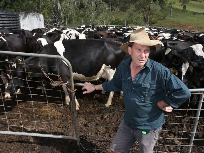 Country Valley dairy farm owner John Fairley at the afternoon milking of his cows at Picton. Picture: Robert Pozo #SnapSydney2016 #SnapMacarthur #SnapSydney