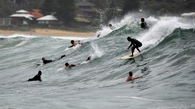 Board riders enjoy the strong swell at Avoca Beach point.