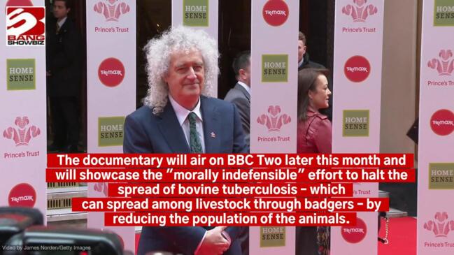 Brian May presenting documentary on badger culling