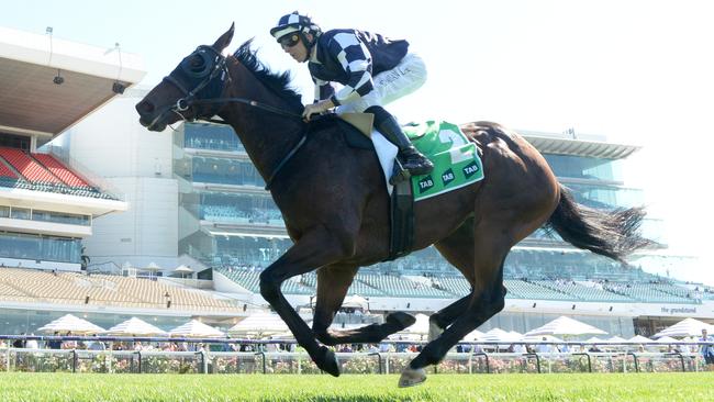 Young Werther will return to Flemington for his third crack at the Group 1 Turnbull Stakes on Saturday. Picture: Racing Photos via Getty Images