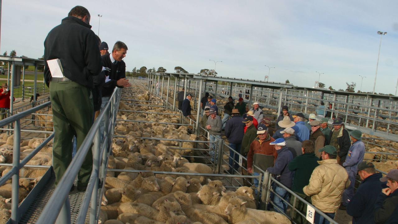 Saleyards Brace For Virus Sting | The Weekly Times