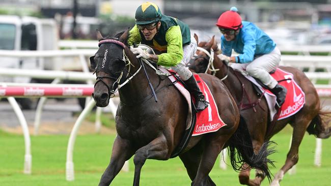 Beau Dazzler can bounce back in the Queensland Derby after a flat second-up run. Picture: Trackside Photography