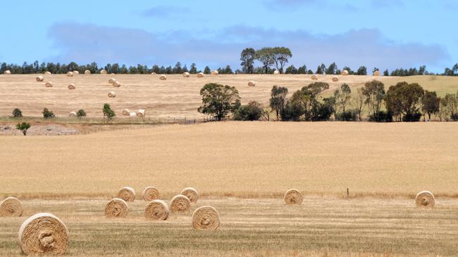 Though most of the hay baled last spring was rain-damaged, it is still providing value this winter.