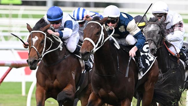 Scarlet Oak (right) beats Mare Of Mt Buller (left) in The Roses.