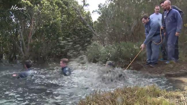 Bushrangers' gruelling pre-season boot camp