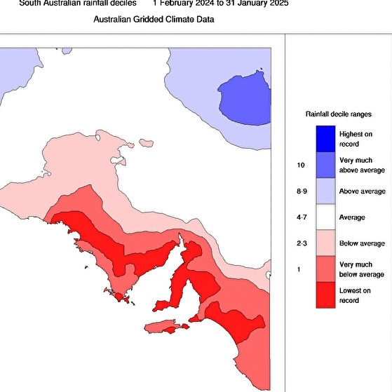 South Australian rain figures from February 2024 to January 2025