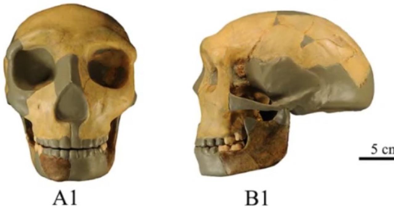 The skull is believed to be 300,000 years old.