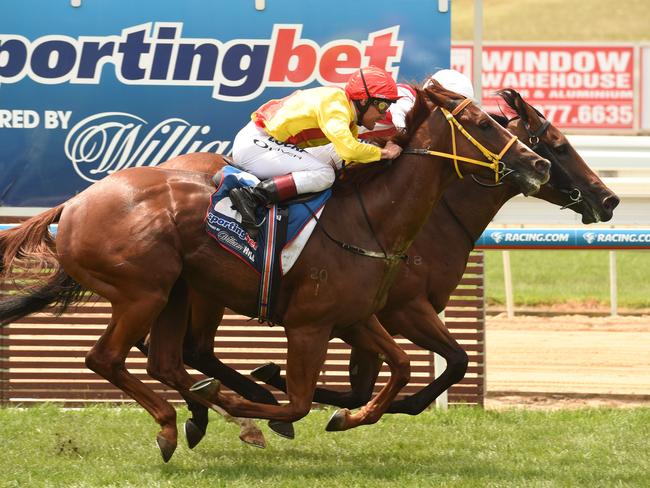 Hennessy Rock (rails) pips Grande Rosso at Mornington two years ago. Picture: Chris Eastman