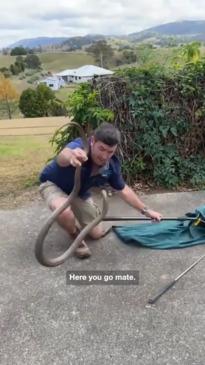 Snake catcher nearly bitten on the face, twice