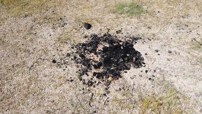 Ash from an illegal campfire at Danbulla State Forest. Dozens of vehicle owners who illegally entered the national park and allegedly caused damage have been caught by Queensland Parks and Wildlife Service. Picture: QPWS