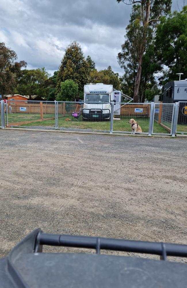 Dog enclosures for outlet caravans