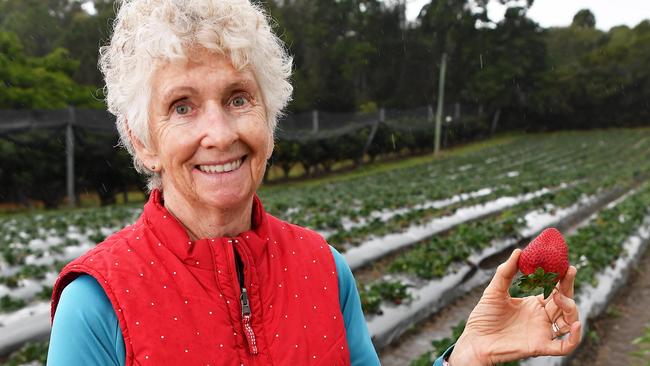 Lillian McMartin on her “pick-you-own” strawberry patch in Bli Bli. Picture: Patrick Woods.