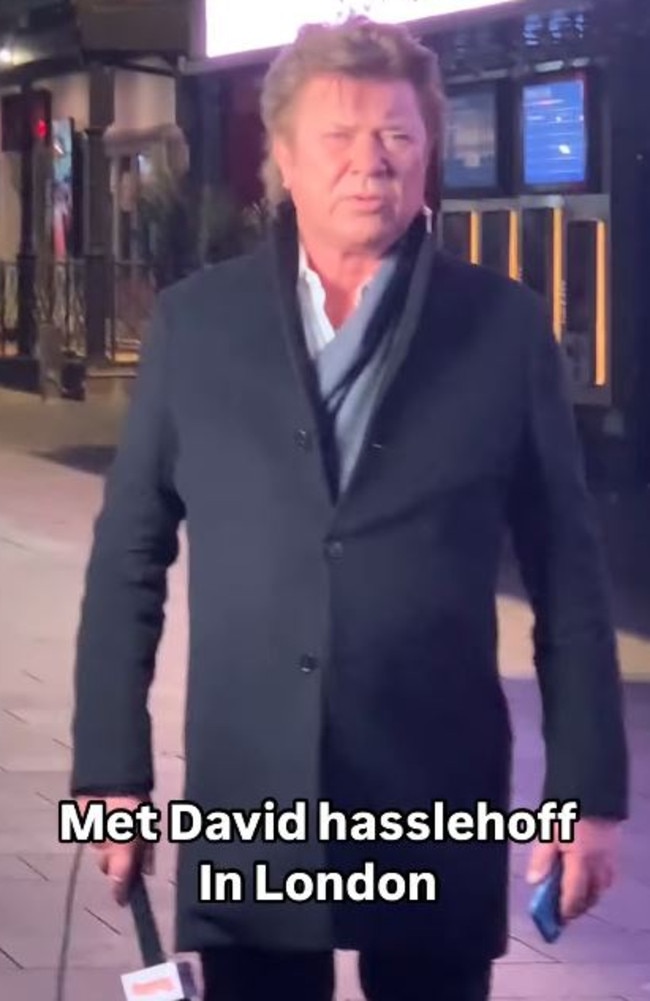 The fan hilariously mistook Wilkins for Baywatch star David Hasselhoff. Instagram